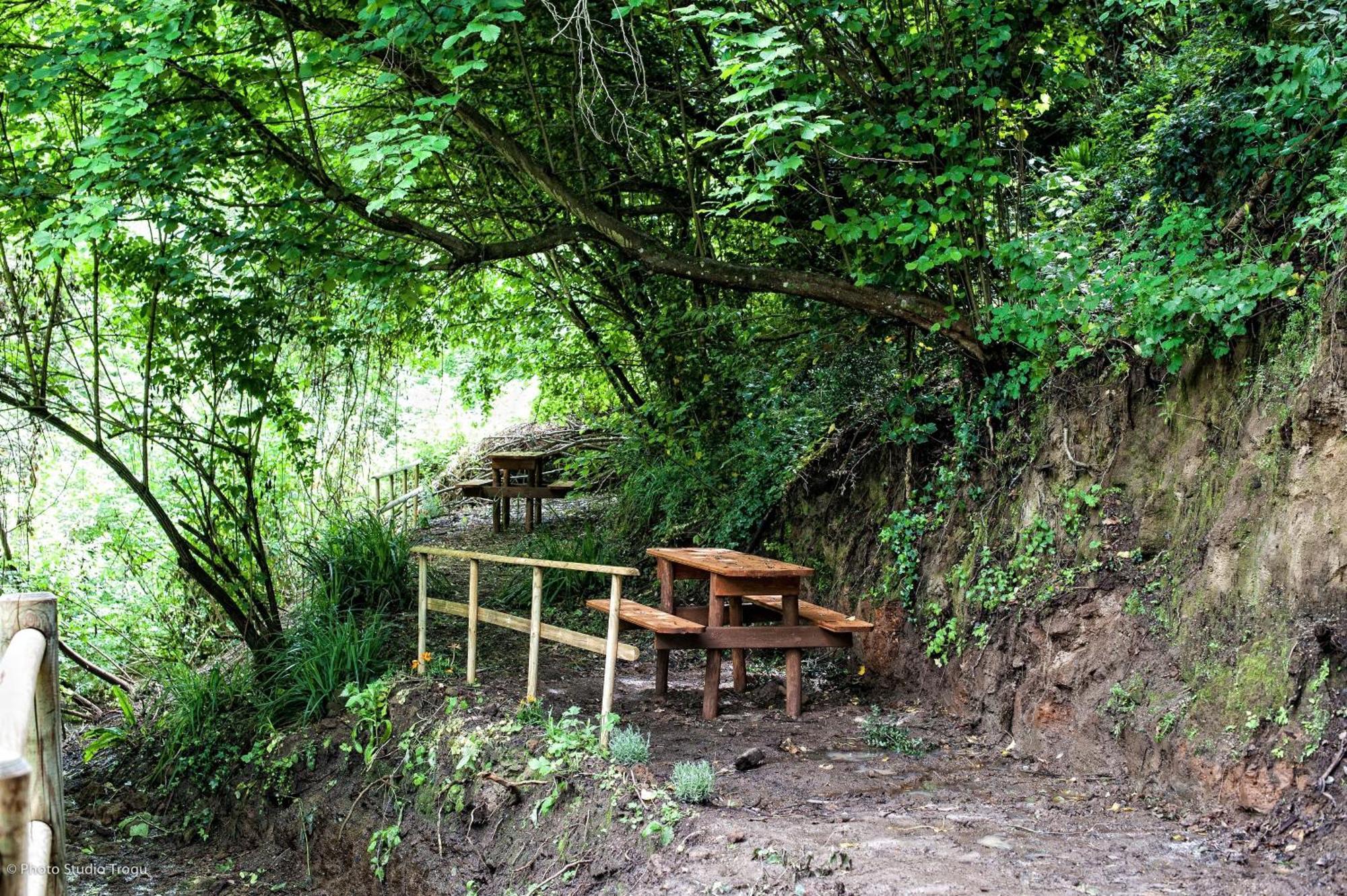 Il Giardino Dei Flintstones B&B Cerveteri Exterior photo