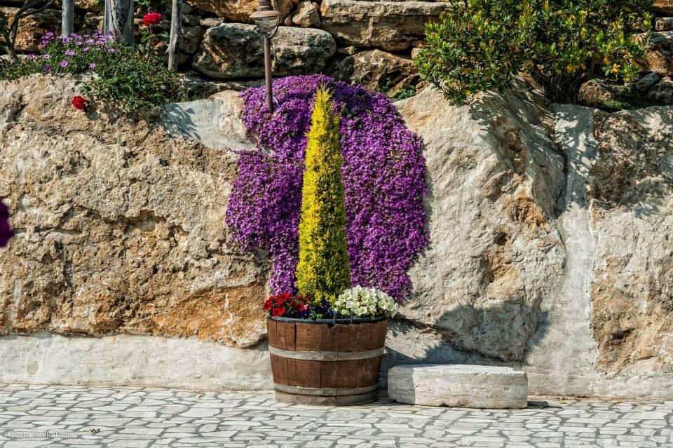 Il Giardino Dei Flintstones B&B Cerveteri Exterior photo